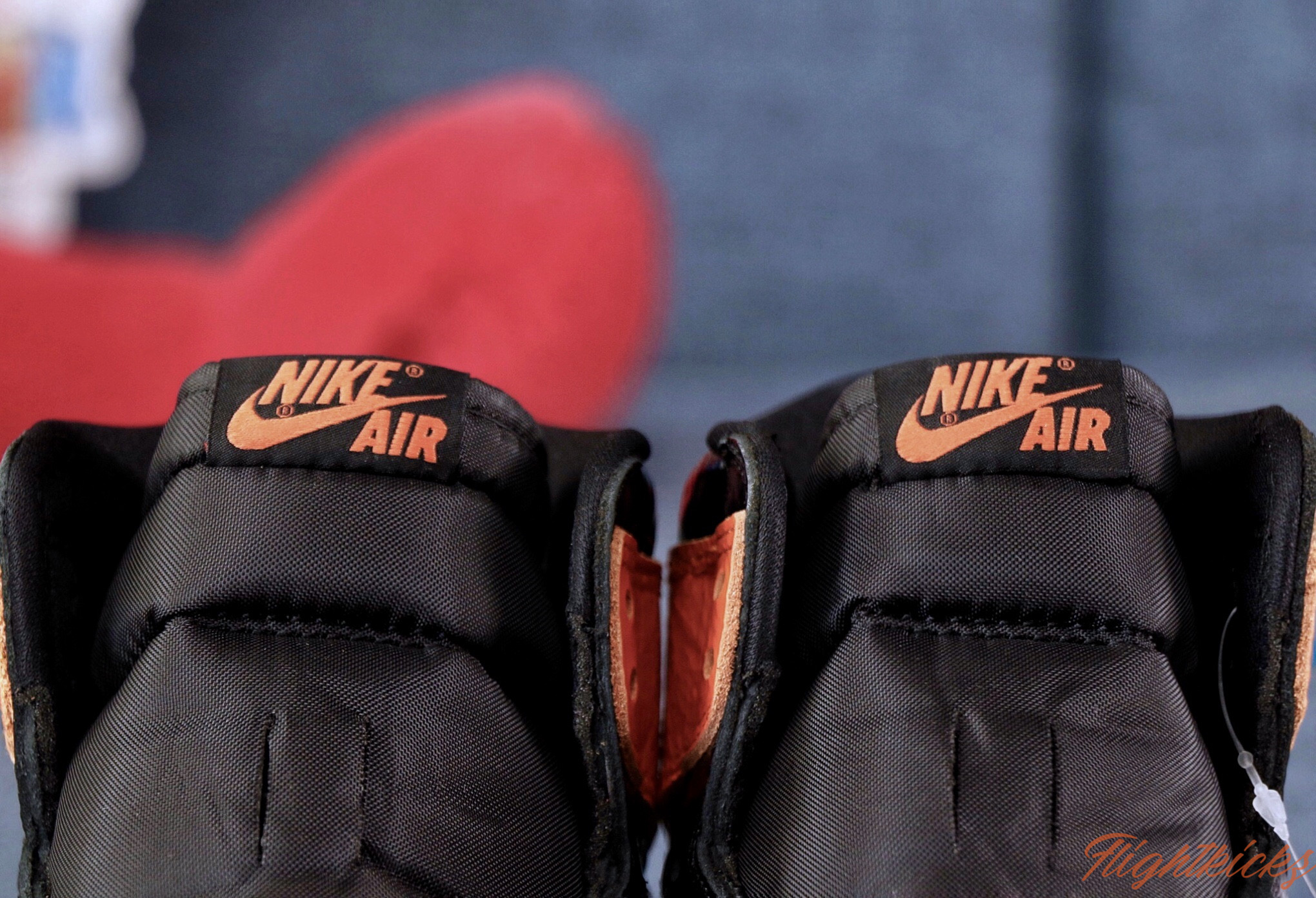 Air Jordan 1 Shattered Backboard 3.0 2019