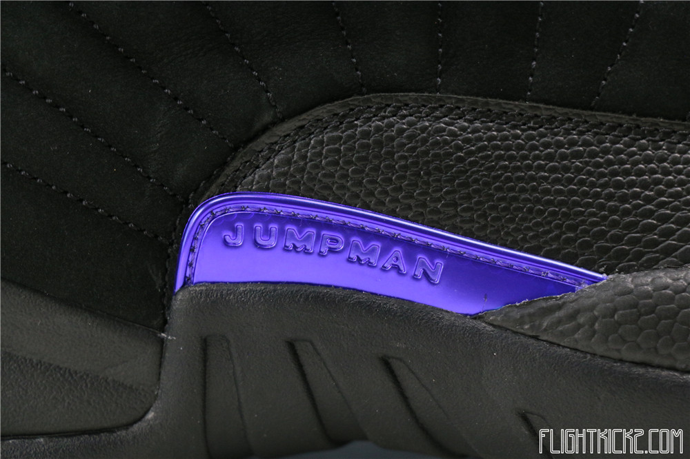 Air Jordan 12 Retro Dark Concord