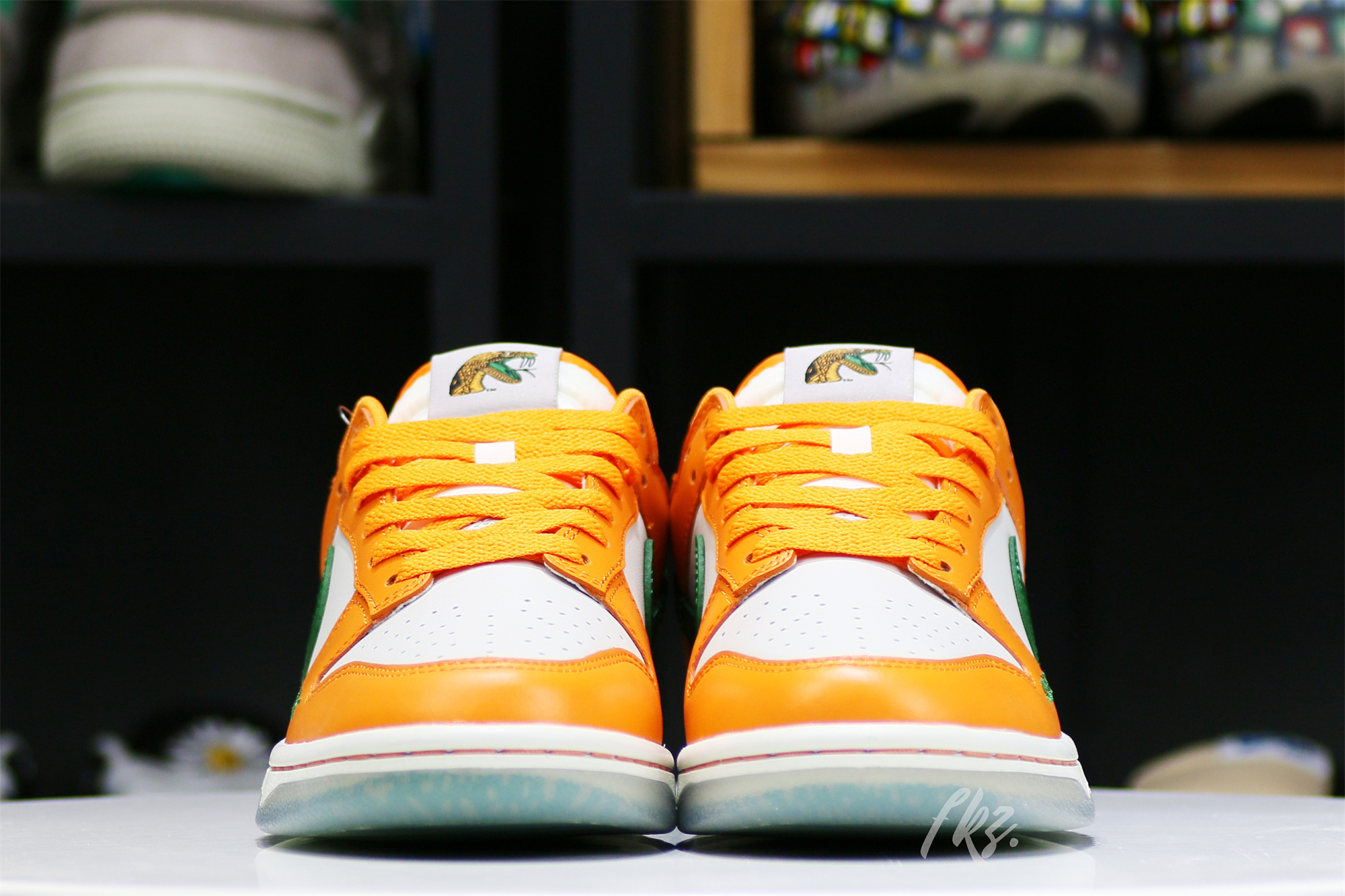 Nike Dunk Low Florida A&M University