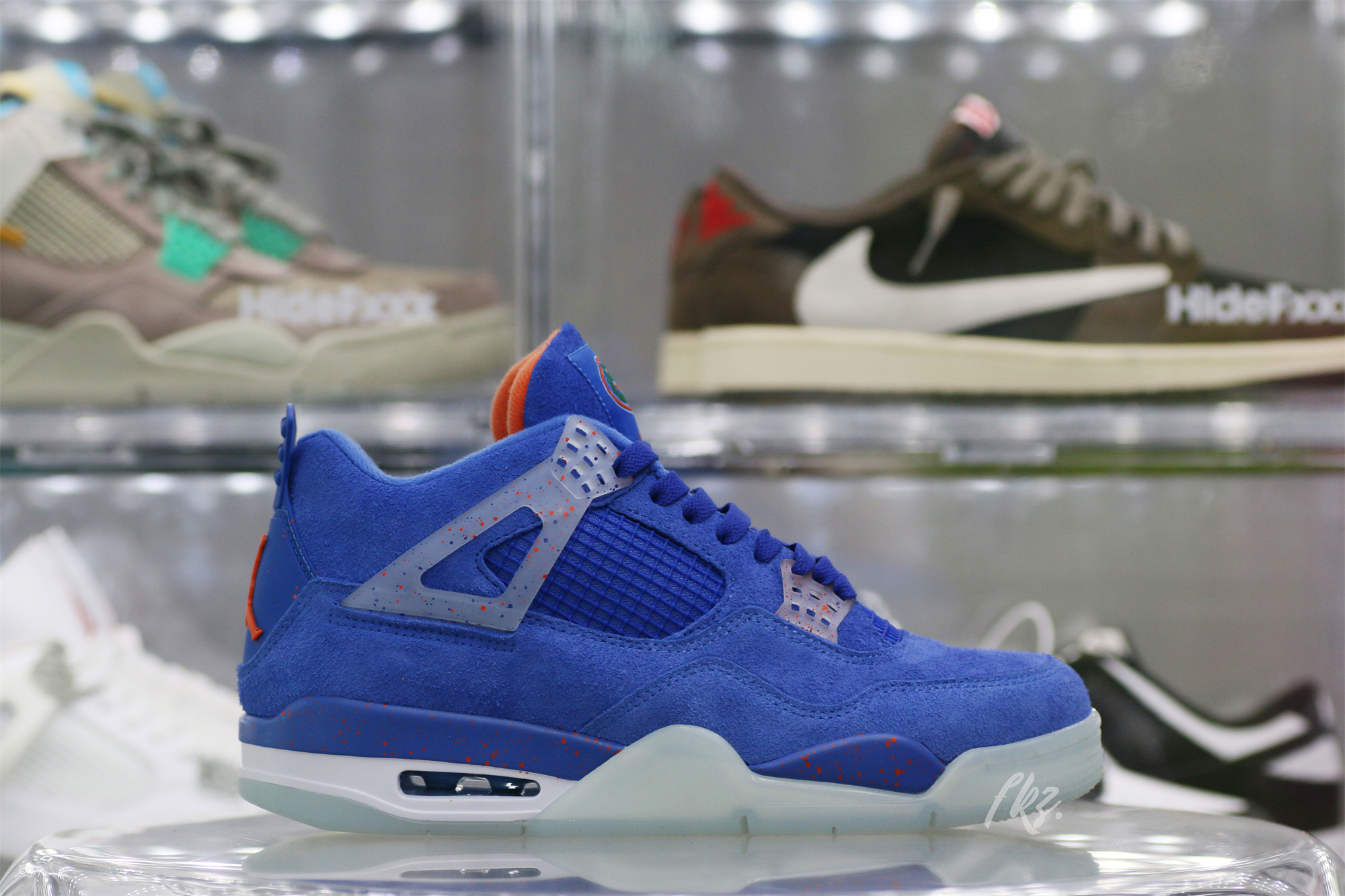 Air Jordan 4 Florida Gators PE