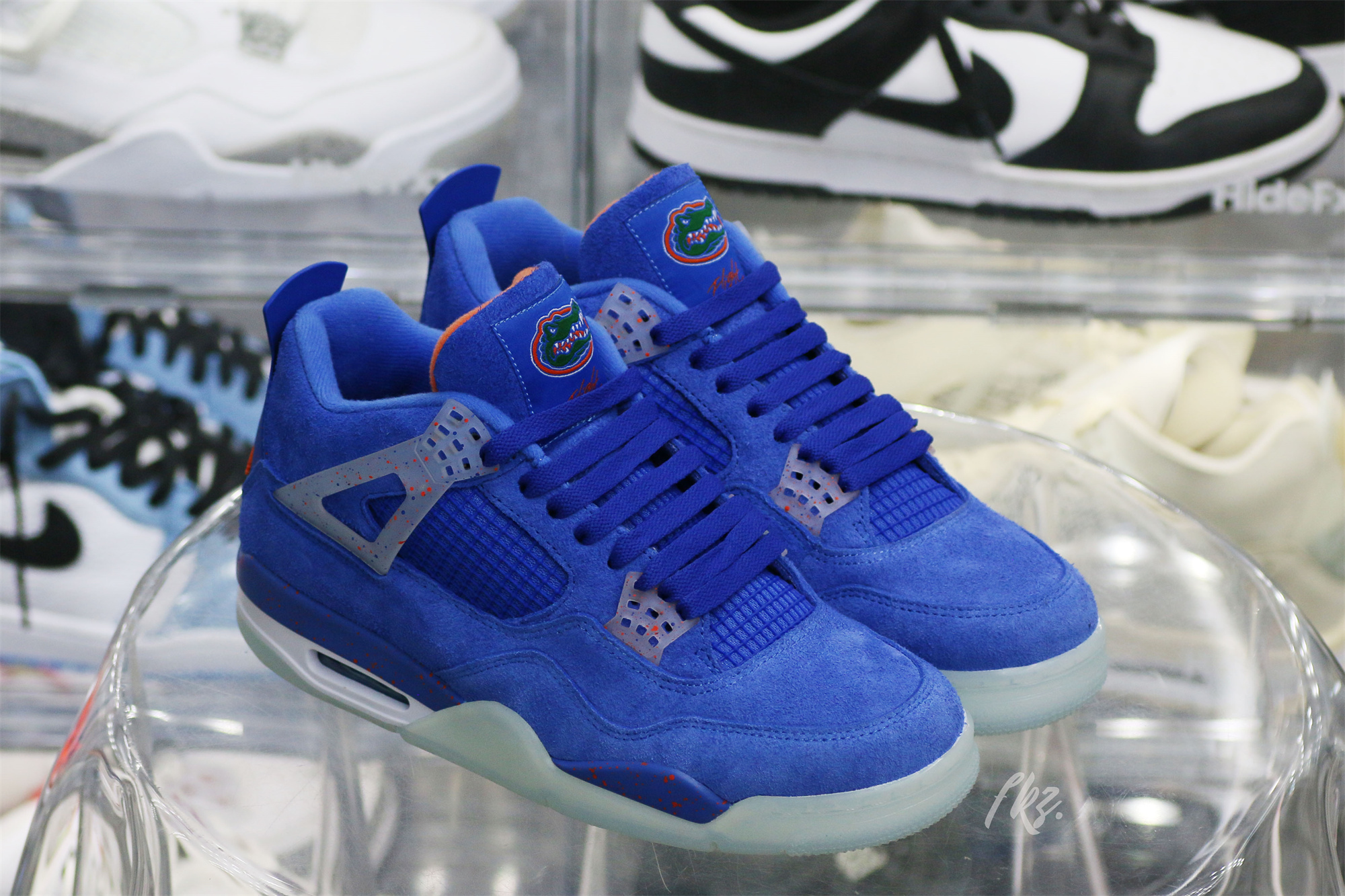 Air Jordan 4 Florida Gators PE