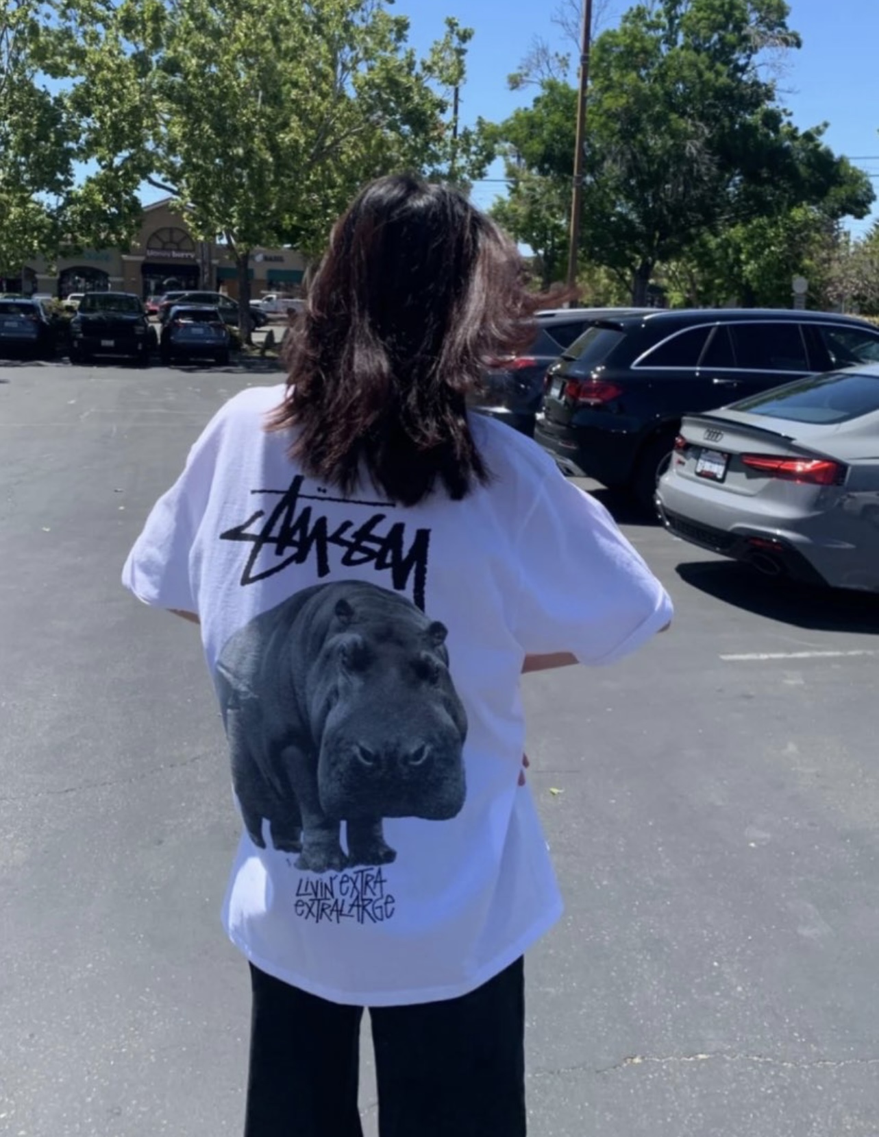 Stussy hippo print short sleeves