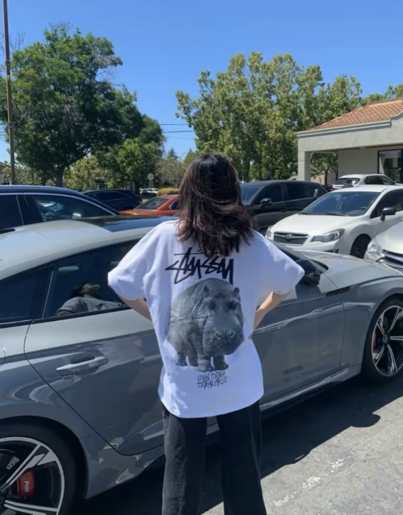 Stussy hippo print short sleeves