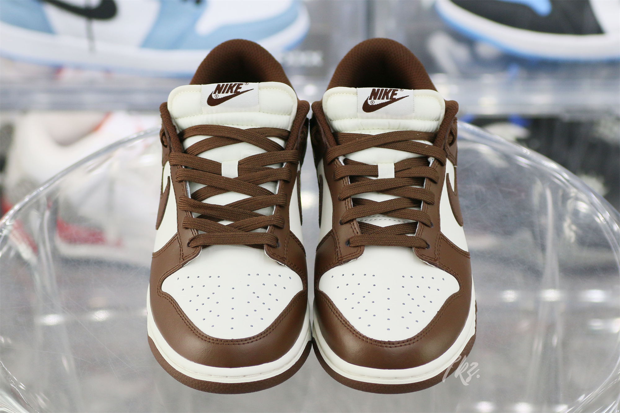 Nike Dunk Low Cocao Wow Brown Sail 2023