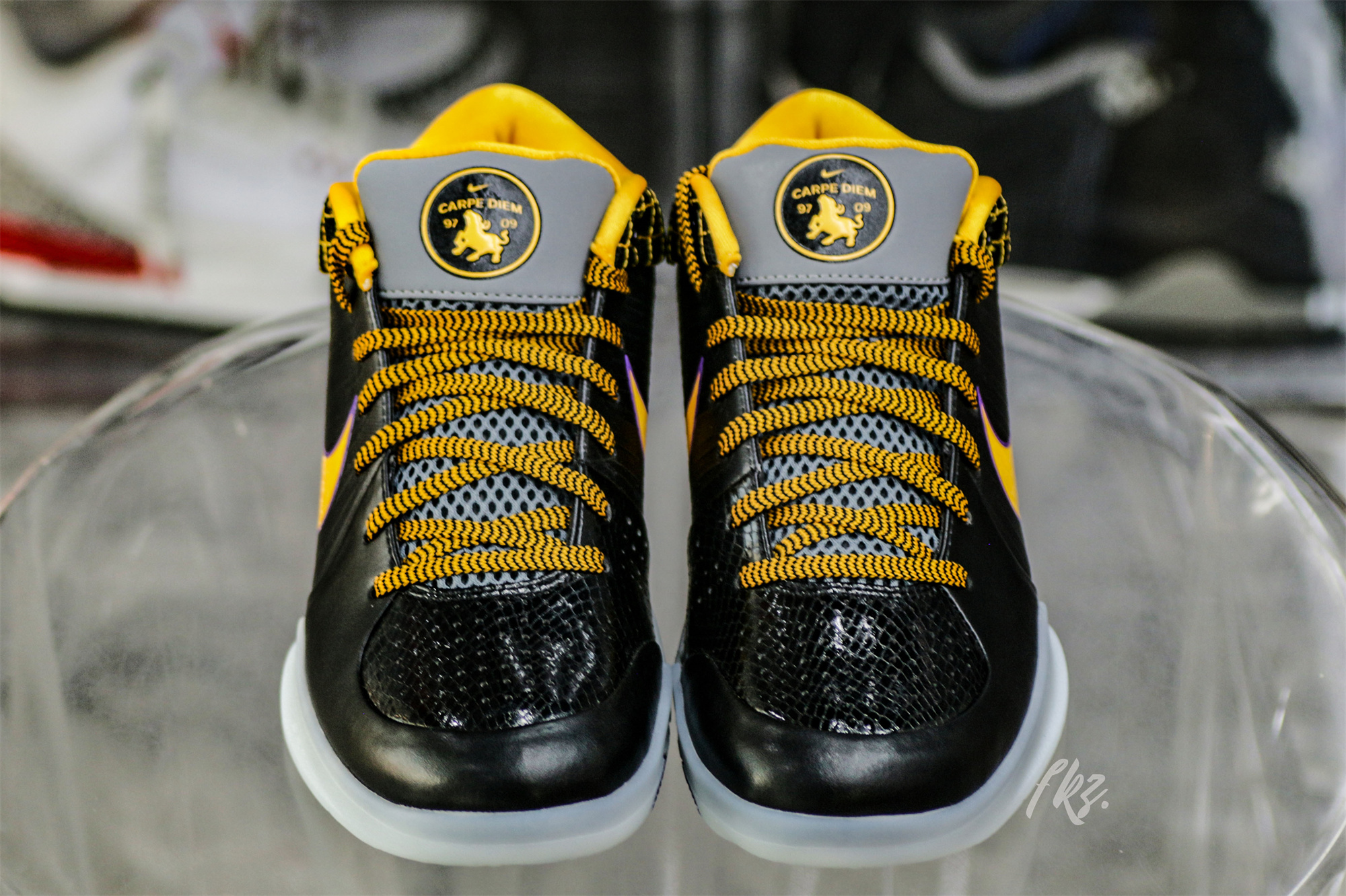 Nike Kobe 4 Protro Carpe Diem(A1 Batch)