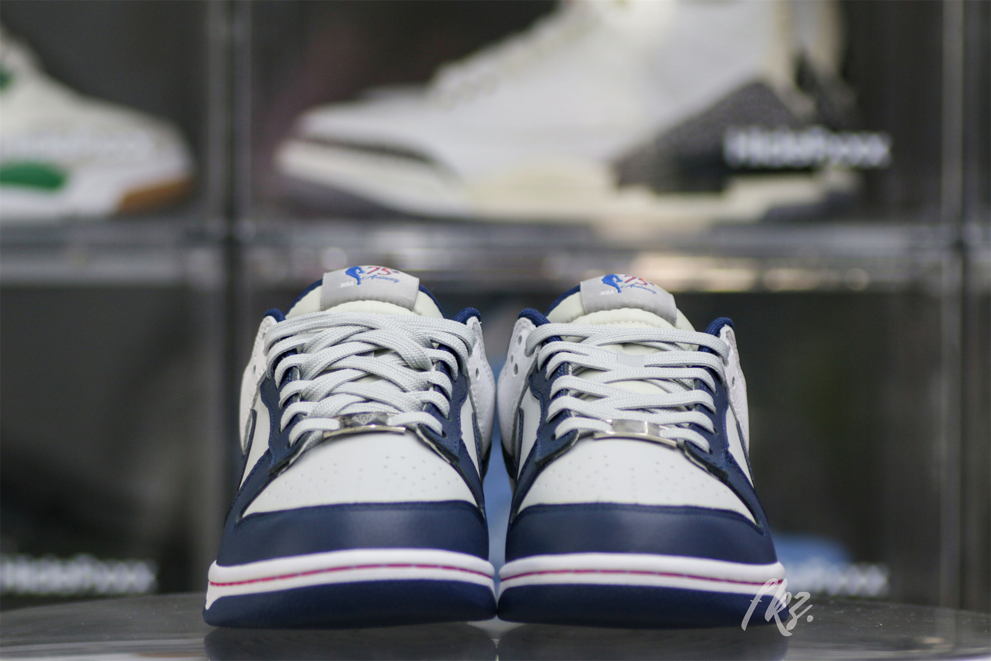 Nike Dunk Low EMB NBA 75th Anniversary Brooklyn Nets