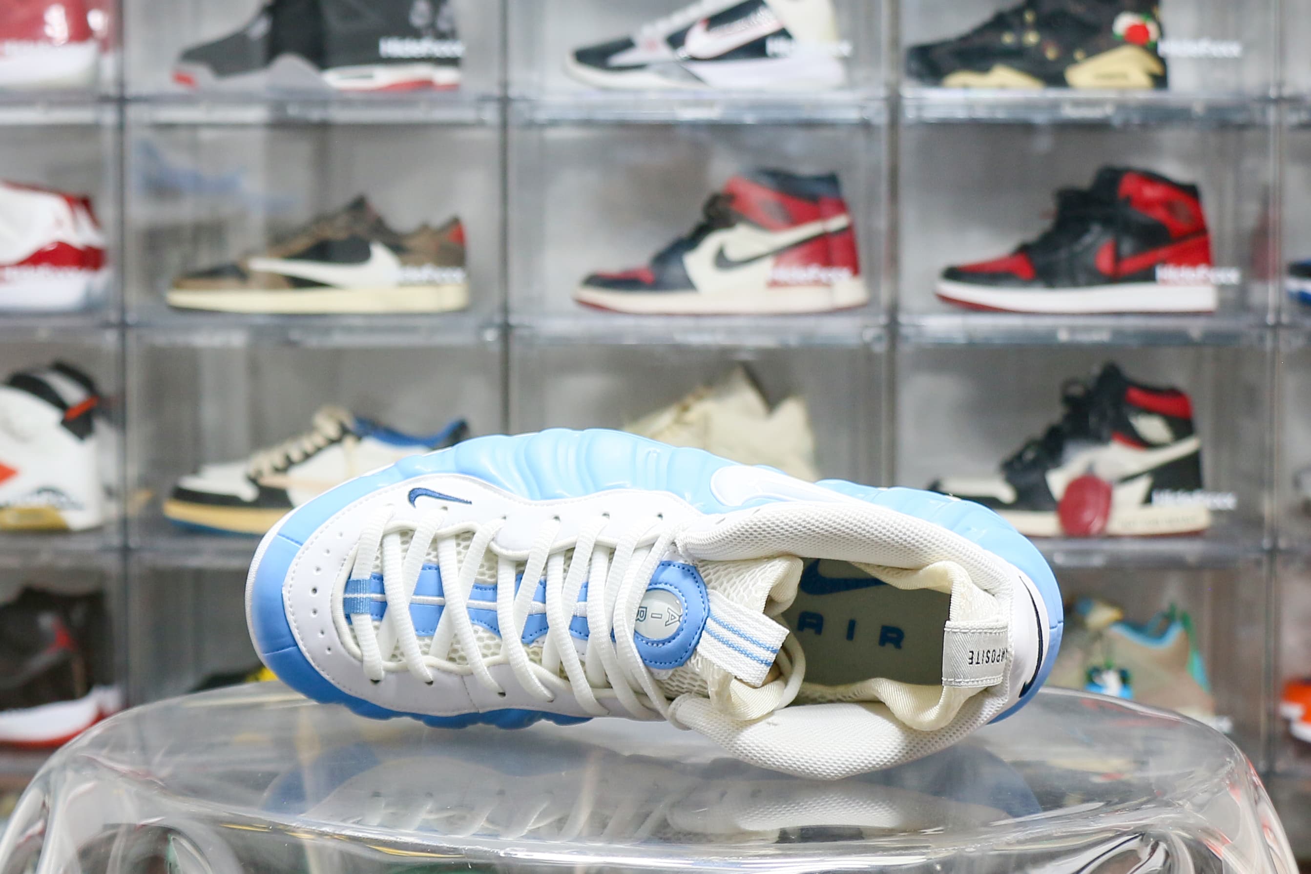 Nike Air Foamposite Pro University Blue 2003